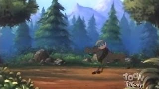 Quack Pack S01 E26 Ducks By Nature