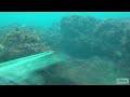 Pesca in apnea a Santa Marinella - Claudio Basili