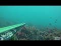 Pesca in apnea a Santa Marinella - Claudio Basili
