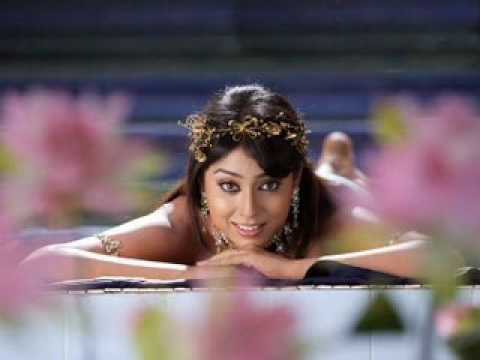 Allegra -Lyrics