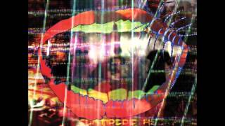 Watch Animal Collective Mercury Man video