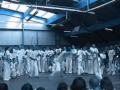 Capoeira - Saffron Dreams