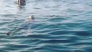 Plage Bazoule Jijel