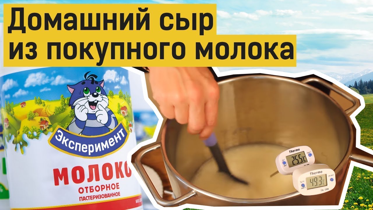 Как сделать из магазинного молока сыр 696