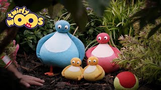 Tuhaf Orman Twirlywoos Türkçe Çocuklar Için Videolar