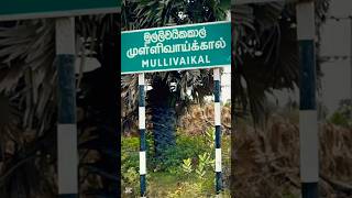 May 18 - Mullivaikkal Remembrance மளளவயககல - ம 18 May 18 2025