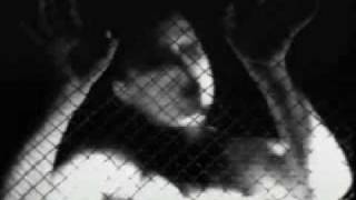 Watch Die Form The Hidden Cage video