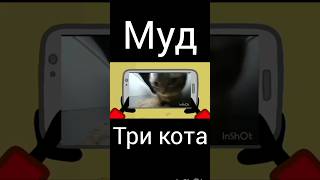 Муд Три Кота Телефон