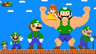 Doki Mario Evolution Of Luigi In Super Mario Game Animation