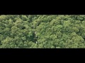 Video 2015 Rainforest Challenge East Russia movie. RFC Global Series (Русская версия)