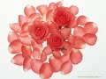 Happy Women's Day - International Women's Day ecards - Events Greeting Cards Happy Women's Day - International Women's Day ecards - Events Greeting Cards