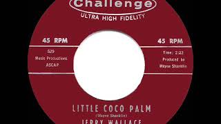 Watch Jerry Wallace Little Coco Palm video