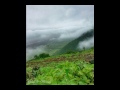 البلوشي