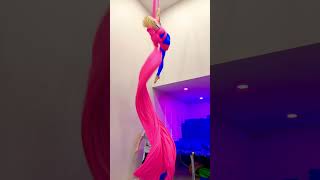 Kellies New Aerial Silks Drop