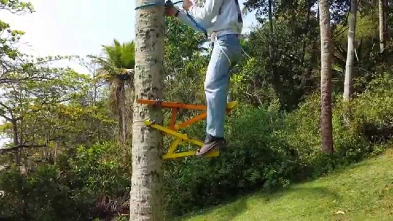 como subir no coqueiro - YouTube
