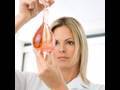 Researchers Grow Penis In A Lab