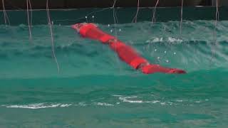 Palemis model tested in large waves