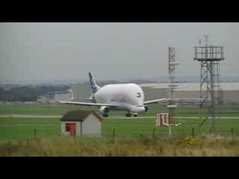 Airbus Beluga TAKEOFF | Broughton
