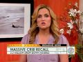 Massive Crib Recall