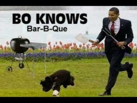 EATS DOGS EATS DOGS