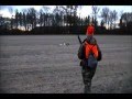 Watch Maryland Firearm Deer Season Video