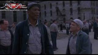 Skazani Na Shawshank The Shawshank Redemption 1994 Lektor PL DVDRip XviD AC3 6ch www VipTracker pl Group VipRipper Encoder@by bin