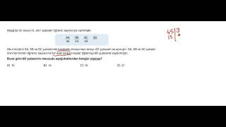 Newton Yayınları 6.Sınıf Deneme 5 Soru 13