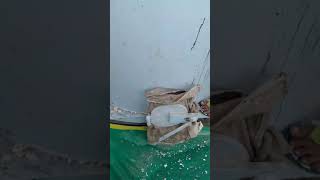 Plastic Scrap Grinding Washing Machine ,Size-44 Aps Eenterprises Con- Ajay-9899671883,8384036094