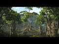 FFXIV OST - La Hee! "Civilizations" The Rak'tika Greatwood Theme / FF14 ラケティカ大森林:昼 BGM