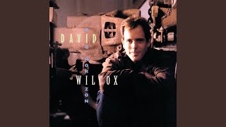 Watch David Wilcox Please Dont Call video