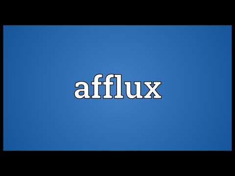Header of Afflux