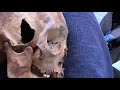 Inside Elongated Cone Head Skulls Of Paracas Peru images Inside Elongated Cone Head Skulls Of Paracas Peru