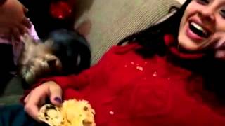 Bêbada Faz Xixi Na Calça Contando A História Do Cachorrinho
