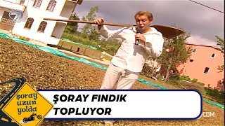 Ordu - Fındık Bahçesi - Şoray Uzun Yolda