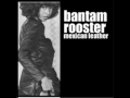 Bantam Rooster - summer in Hamtramck
