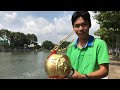Dừa vàng chưng tết cực kỳ độc đáo sản phẩm sáng tạo | Thánh Trái Cây