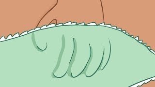 Como Quedarse DORMIDO en 60 SEGUNDOS