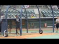 Charleston riverdogs