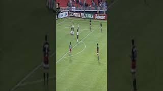 vWmDV8y7PVo Video Image