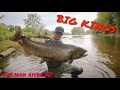 Fishing for BIG KING SALMON-(Salmon River, Pulaski NY)-2021