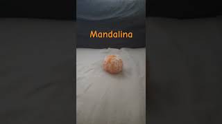 Mandali̇na
