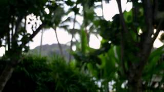 Watch Heather Headley Power Of The Cross video