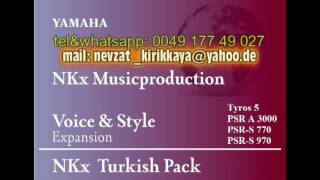 2/4 ankara NKx