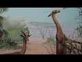 Gazelles and Zebras en African Panorama Diorama.MP4
