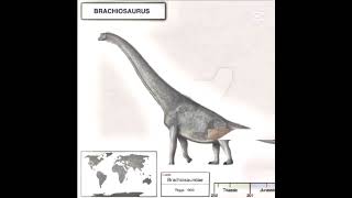 The Sauropoda
