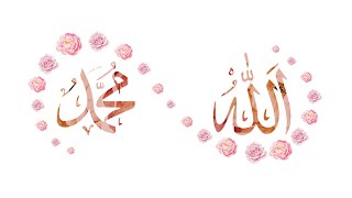 Prof. Dr. H. Saidi Syaikh Kadirun Yahya Muhammad Amin Al Khalidi
