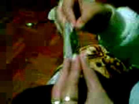 FASO PORRO faso porro: