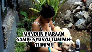 Mandi Bareng Anjeeeng