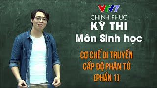 Cơ chế di truyền cấp độ phân tử: Nhân đôi ADN | Chinh phục kỳ thi THPTQG môn Sinh học