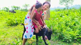Crazy Goat Riding Fun Desi Village Laughs